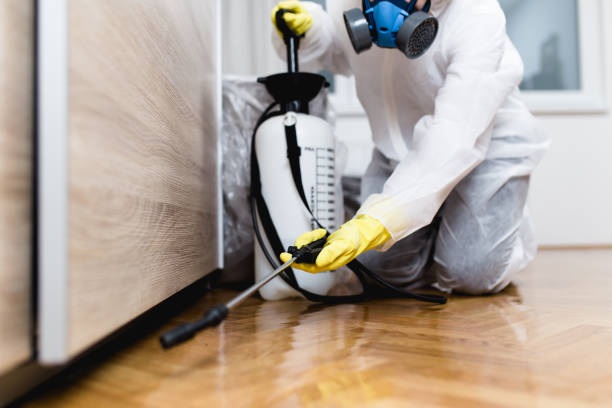 Best Local Pest Control Services  in Falcon Heights, MN