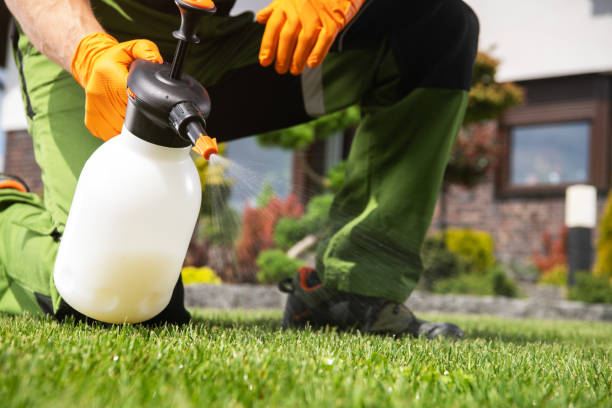 Best Pest Control Cost  in Falcon Heights, MN