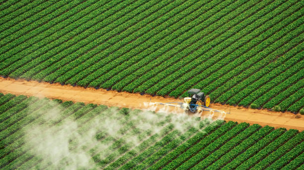 Best Pest Control Treatment  in Falcon Heights, MN