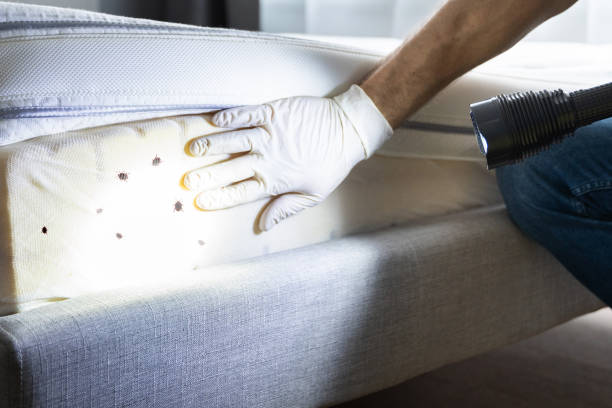 Best Residential Pest Control  in Falcon Heights, MN